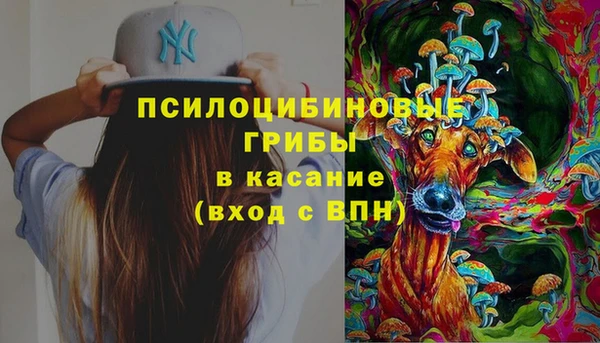 мескалин Арсеньев