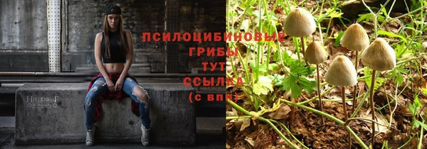 мескалин Арсеньев
