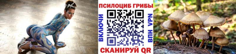 Псилоцибиновые грибы мухоморы  Купить закладки  Мглин 